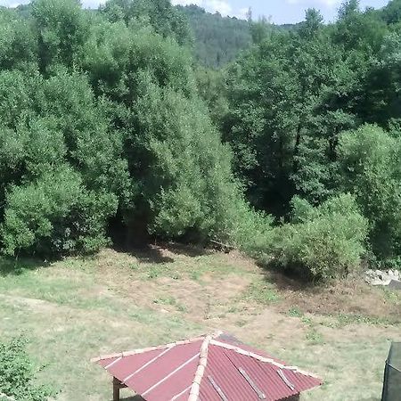 Guest Rooms Voneshcha Voda Voneshta Voda Εξωτερικό φωτογραφία