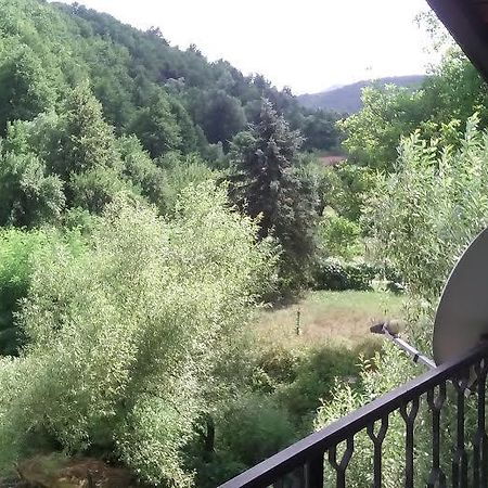 Guest Rooms Voneshcha Voda Voneshta Voda Εξωτερικό φωτογραφία