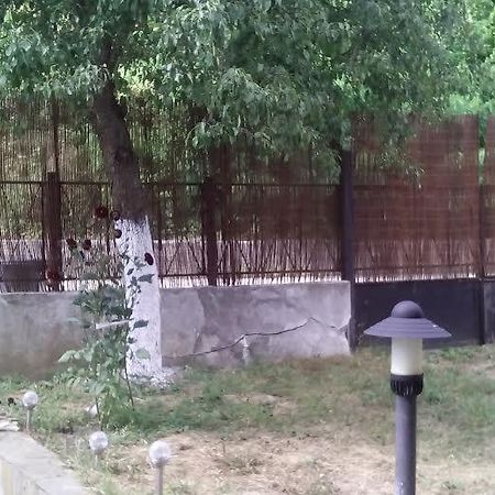 Guest Rooms Voneshcha Voda Voneshta Voda Εξωτερικό φωτογραφία